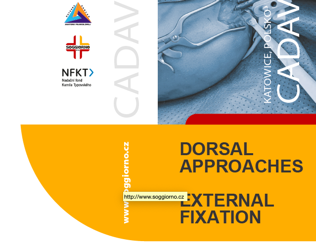 Dorsal approaches, external fixation